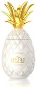 Pinaq Colada 1l 17%