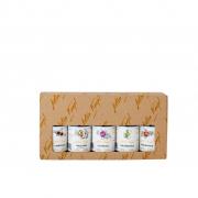 Anton Kaapl Dárkové Balení 5x0,05l 47% 